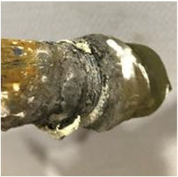 耐火試験後の供試体